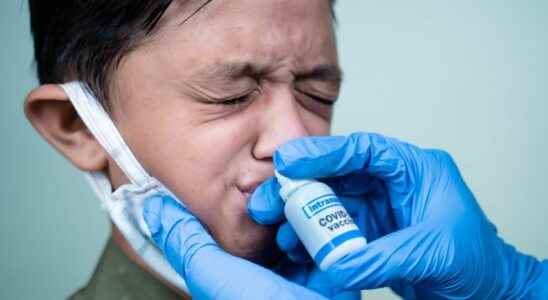 Covid 19 towards a preventive nasal vaccine
