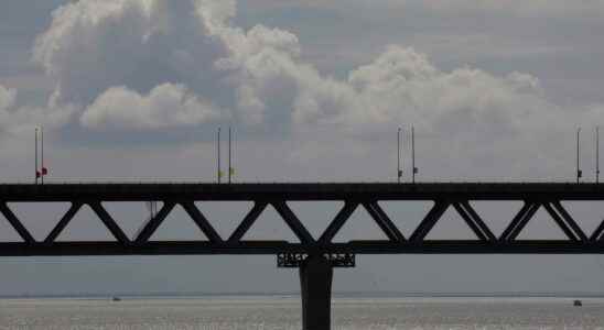 Criticized new bridge arrested