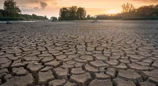 Drought and floods in Europe it is proven human activity