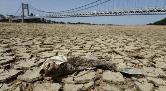 Drought in France 2022 France on alert which departments are