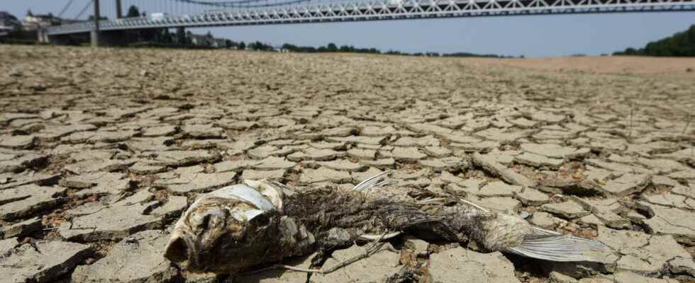 Drought in France 2022 France on alert which departments are
