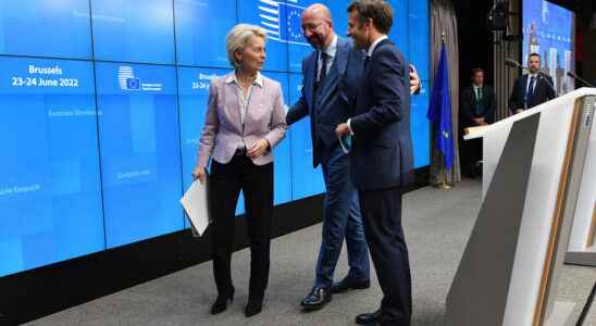 EU Ministers grant Ukraine and Moldova EU candidate status