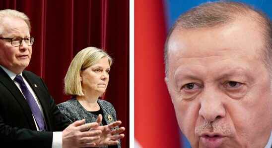 Erdogans purpose with its NATO demands remains unclear