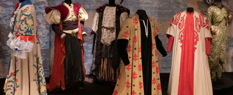 Exhibition Moliere in costumes in Moulins