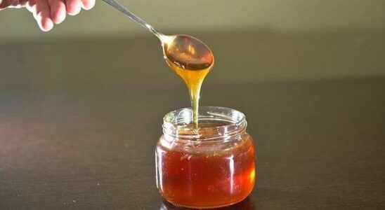 Experts warned How to distinguish fake honey from real Apply