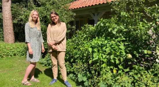 Foreign students find shelter in garden houses and attic rooms
