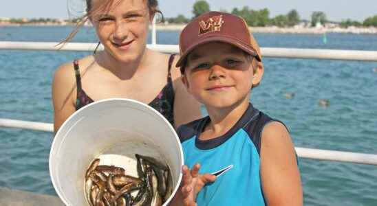 Free goby derby returning to Sarnias riverfront in July