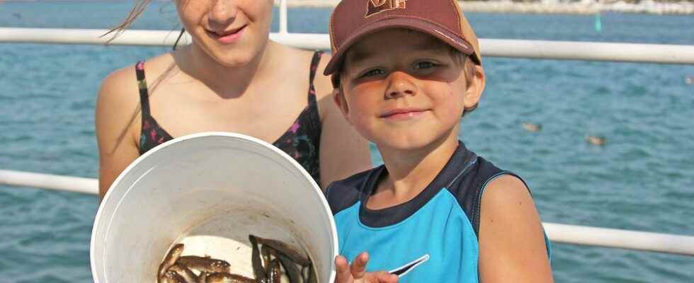 Free goby derby returning to Sarnias riverfront in July