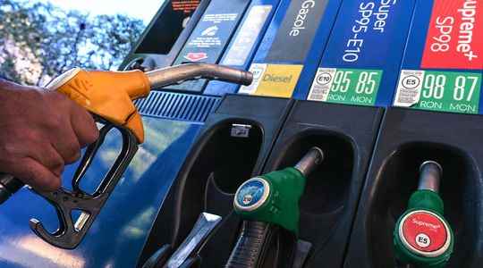 Gasoline prices against carbon tax the time for choices has