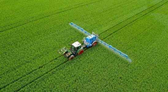 Glyphosate the herbicide is not carcinogenic according to a European