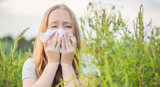 Grass allergy symptoms map what to do