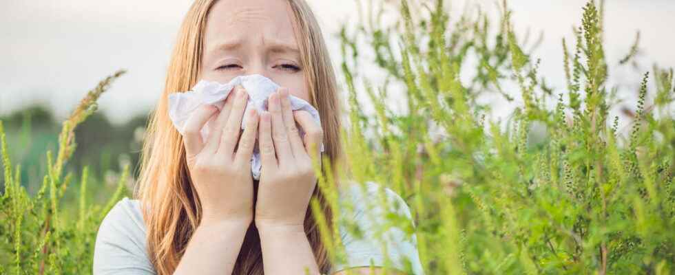 Grass allergy symptoms map what to do
