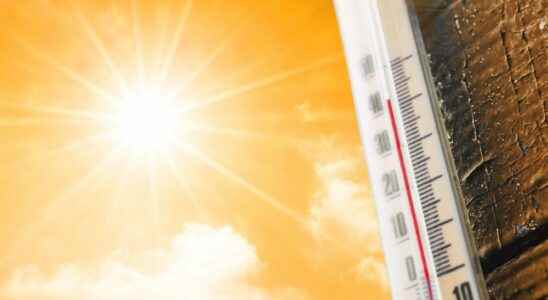 Heat warning in Chatham Kent for Thursday Friday