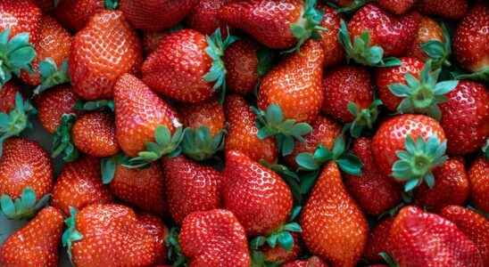Hepatitis A organic strawberries could be the source of an