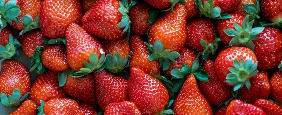 Hepatitis A organic strawberries could be the source of an