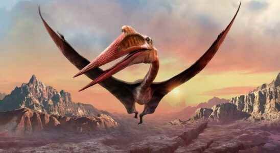 How did the reptiles and giant birds of the past
