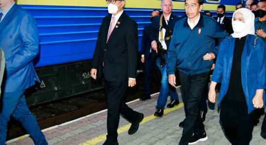 Indonesian President Joko Widodo in Eastern Europe to meet Zelensky