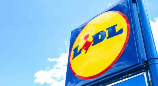 Lidl catalog promotions of the week until July 5
