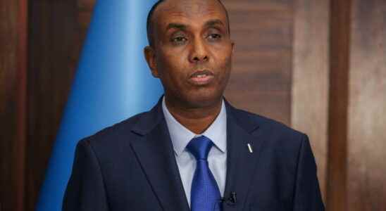 MP Hamza Abdi Barre appointed Prime Minister