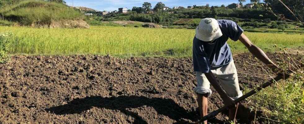 Madagascar wants to improve its agricultural sector to achieve food