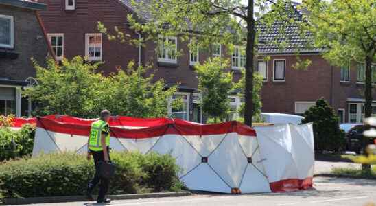 Man from Veenendaal died after collision with tree in Scherpenzeel