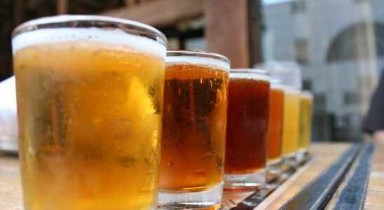 Microbiota a beer a day is good for the intestine