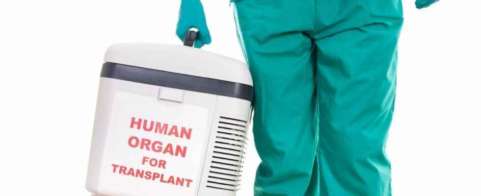 National Organ Donation Day concerns for the transplant plan