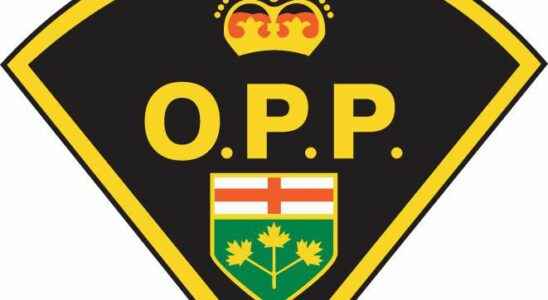 OPP moves police record checks online