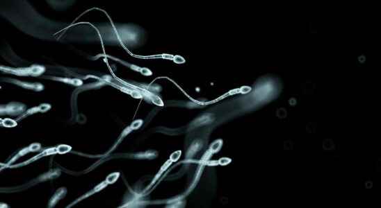 Obese men could double their sperm count by losing weight