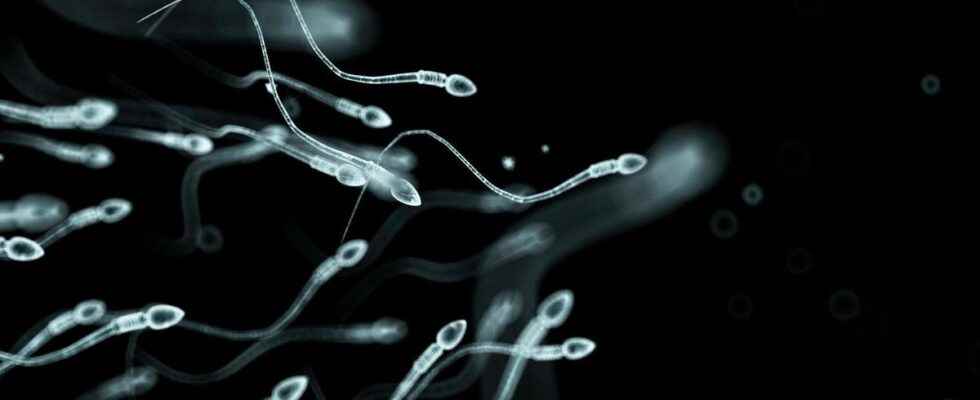 Obese men could double their sperm count by losing weight