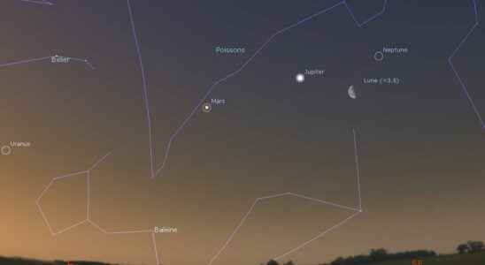 Observe Mercury Venus Mars Jupiter and Saturn aligned in the