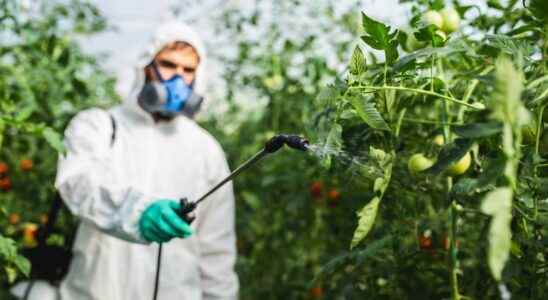 Pesticides in France which regions are most at risk