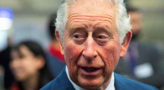 Prince Charles calls deportation of migrants to Rwanda appalling