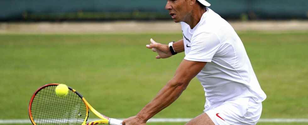 Rafael Nadal in search of a new Wimbledon what is
