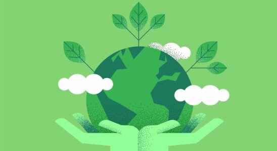 Reducing your carbon footprint 6 really effective ways