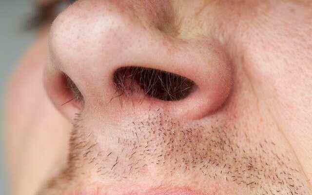 Removing nostril hair can cause permanent brain damage How to