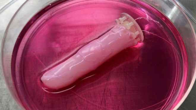 Robotic finger covered with living skin made from human cells