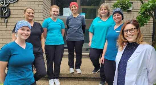 Rodney Dental provides services with a smile