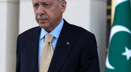 Russia advises Erdogan on offensive in Syria