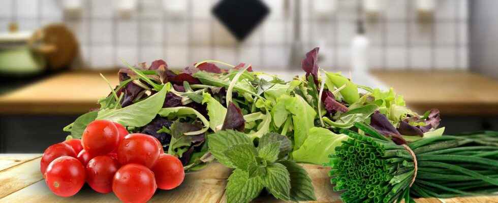 Salad of fresh herbs and mesclun with zaatar