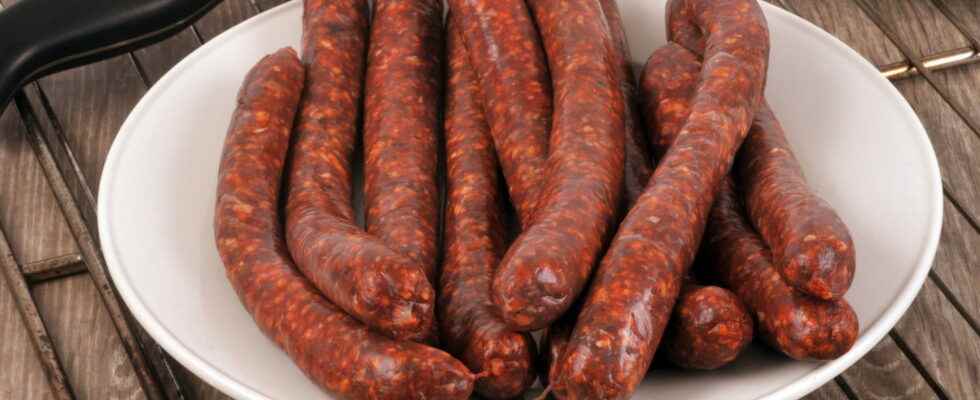 Salmonella in merguez sausages new list of products