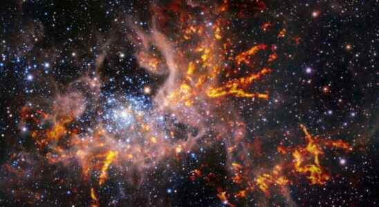 Spectacular images of the Tarantula Nebula unveiled by ESO