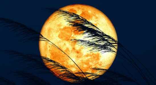 Super moon 2022 effect observation and meaning this Tuesday June