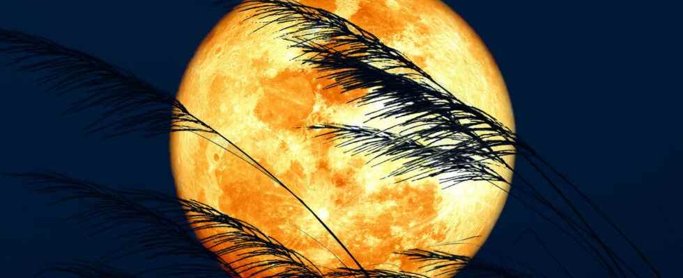 Super moon 2022 effect observation and meaning this Tuesday June