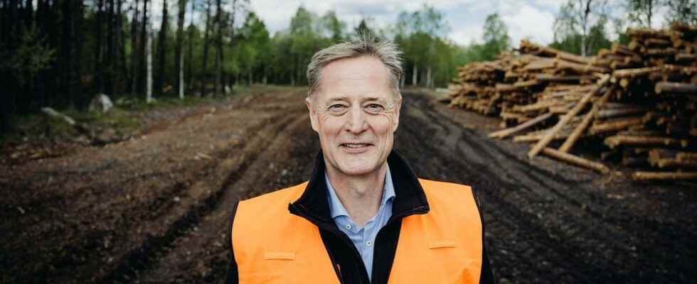 Sveaskogs CEO Erik Brandsma opens up for lower felling targets