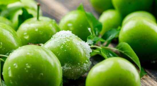 The biggest mistake made while eating green plums Better throw