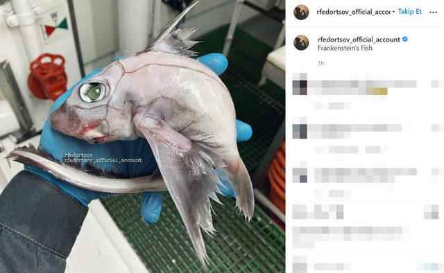The fisherman who caught it was stunned Frankensteins fish spooked