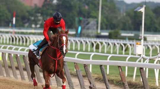 The improbable return of horse racing in Ukraine