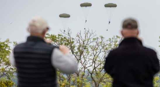 The paratroopers land in Gotland rapeseed