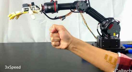 The sense of touch is coming to robots